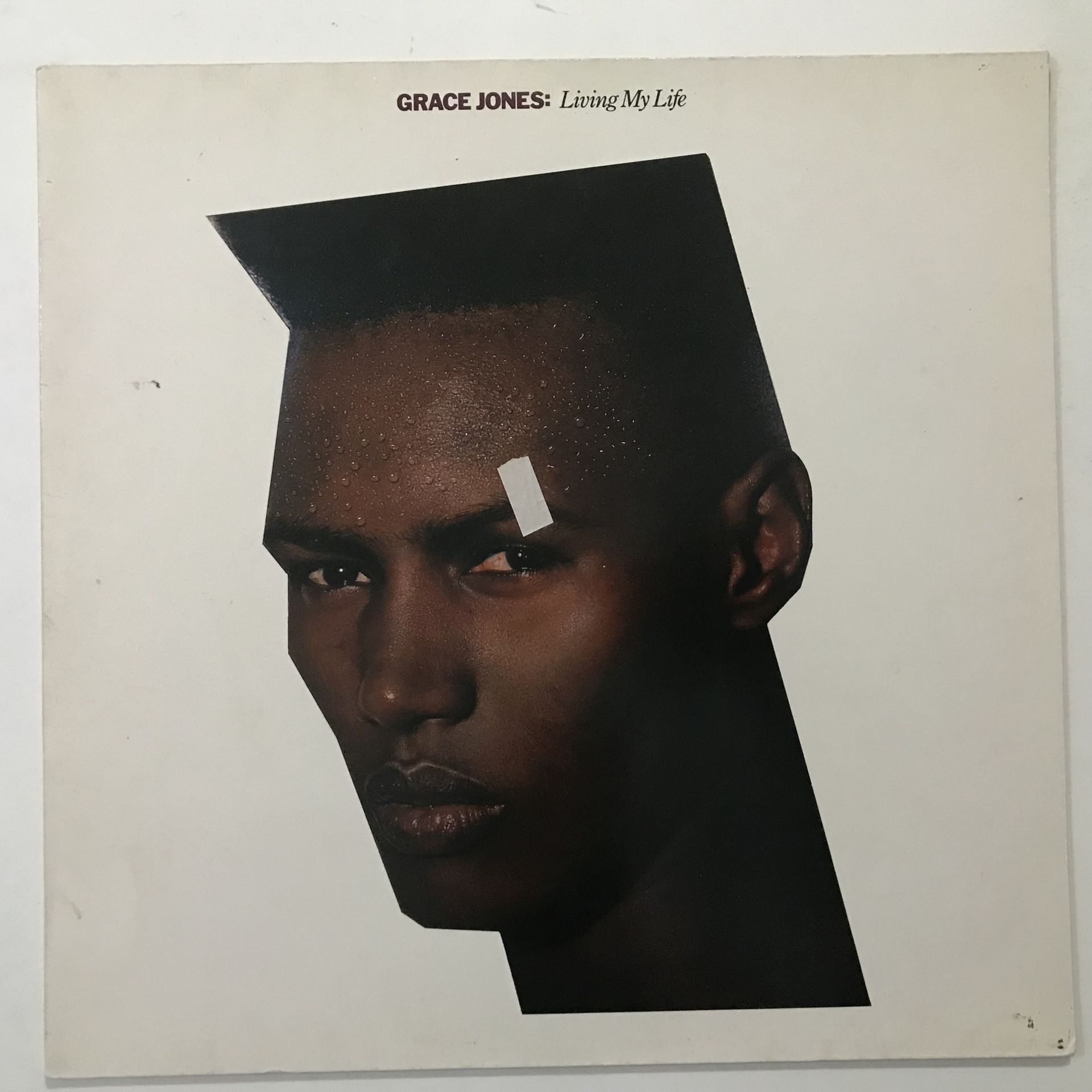 Grace Jones ‎– Living My Life