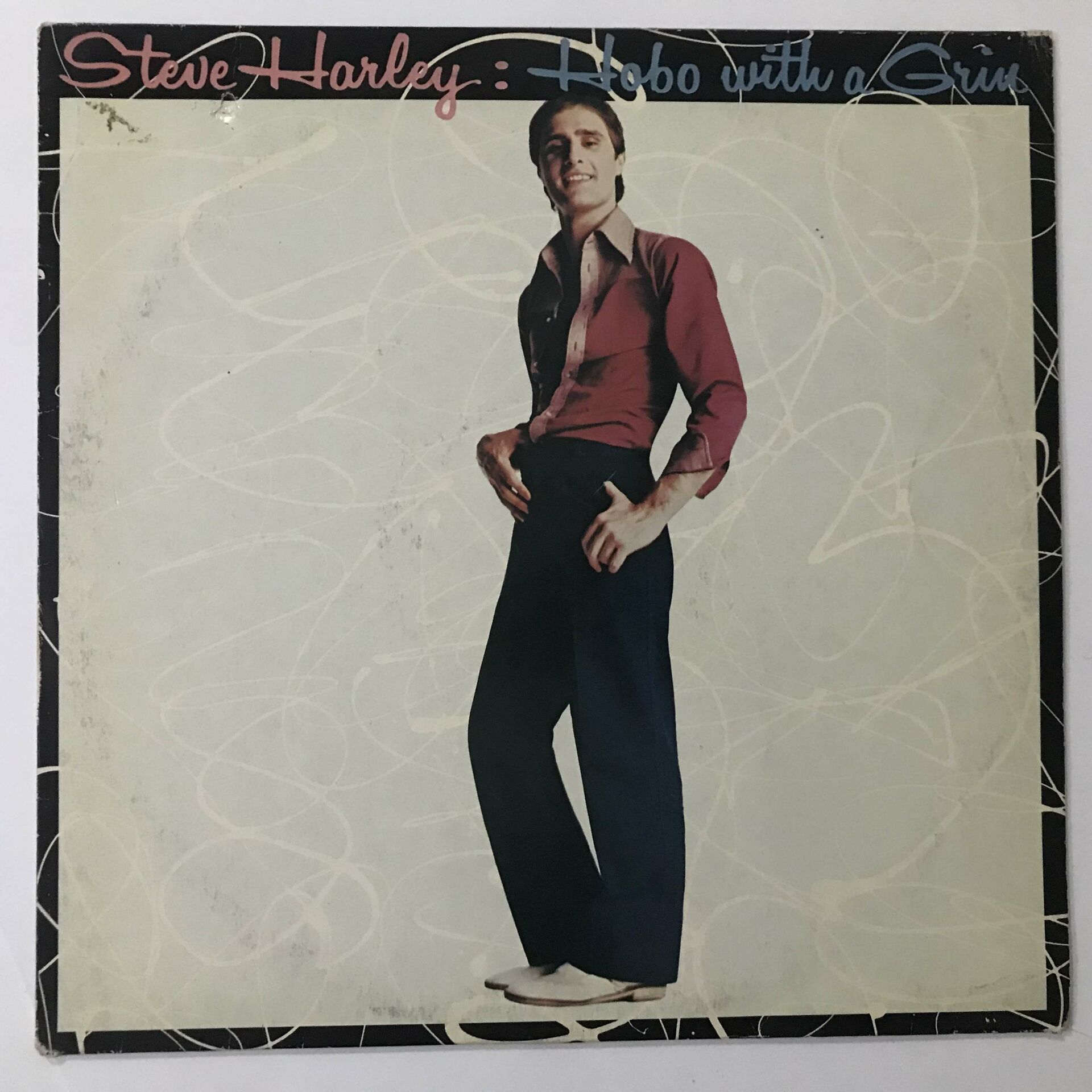 Steve Harley ‎– Hobo With A Grin