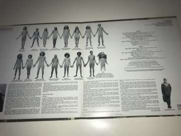 Ragni - Rado - MacDermot – DisinHAIRited