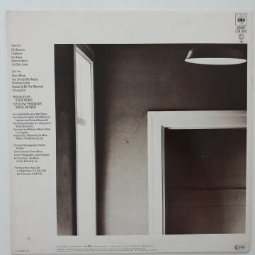 Steve Perry ‎– Street Talk