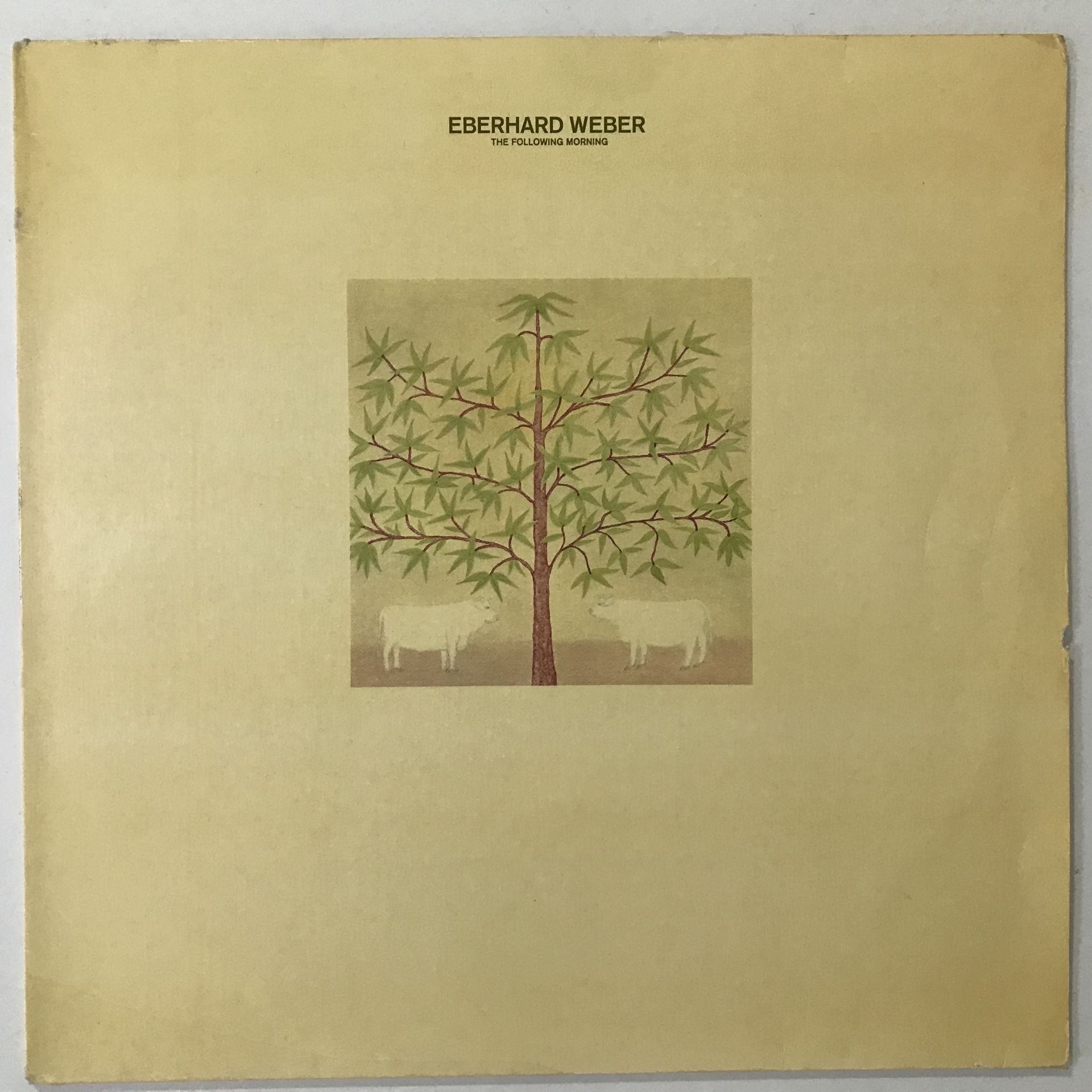 Eberhard Weber – The Following Morning