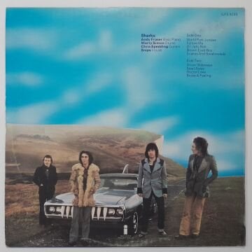 Sharks – First Water