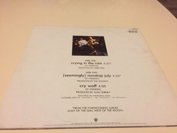 a-ha ‎– Crying In The Rain