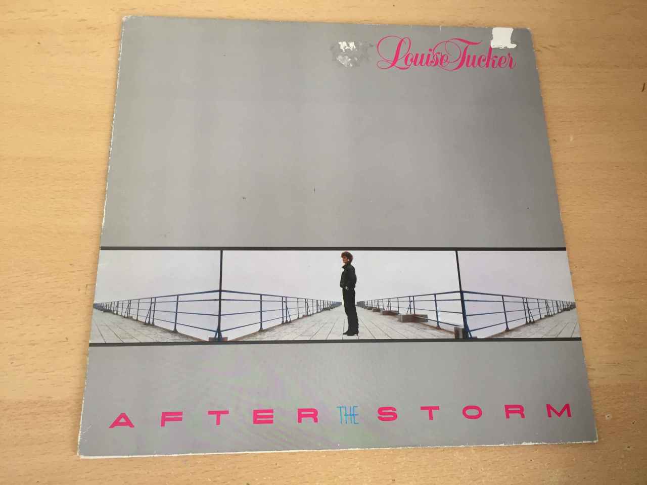 Louise Tucker ‎– After The Storm