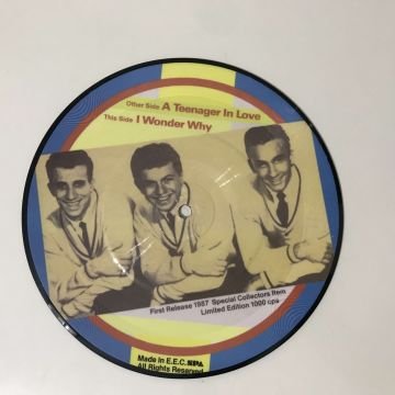 Dion & The Belmonts – A Teenager In Love / I Wonder Why (Resimli Plak)