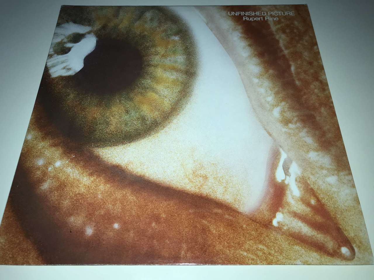 Rupert Hine – Unfinished Picture