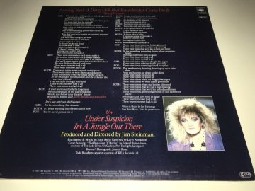 Bonnie Tyler Duet With Todd Rundgren ‎– Loving You's A Dirty Job But Somebody's Gotta Do It