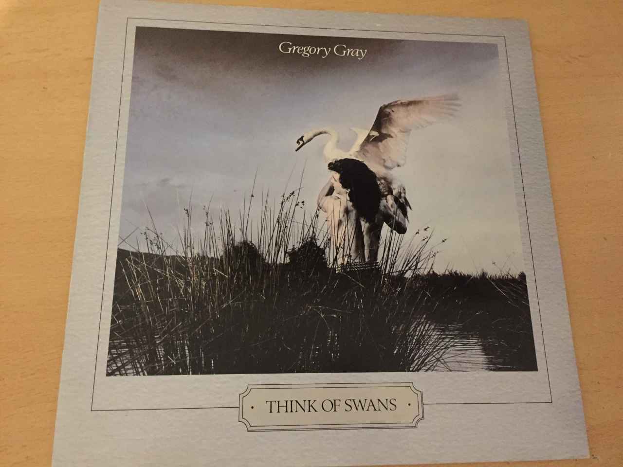 Gregory Gray ‎– Think Of Swans