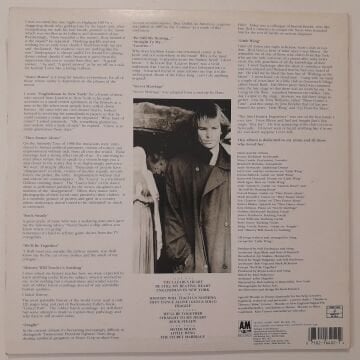 Sting ‎– ...Nothing Like The Sun 2 LP