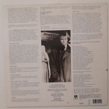 Sting ‎– ...Nothing Like The Sun 2 LP