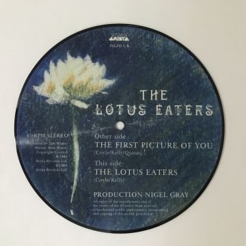 The Lotus Eaters – The First Picture Of You (Resimli Plak)