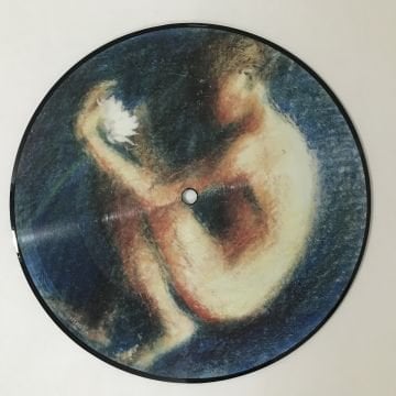 The Lotus Eaters – The First Picture Of You (Resimli Plak)