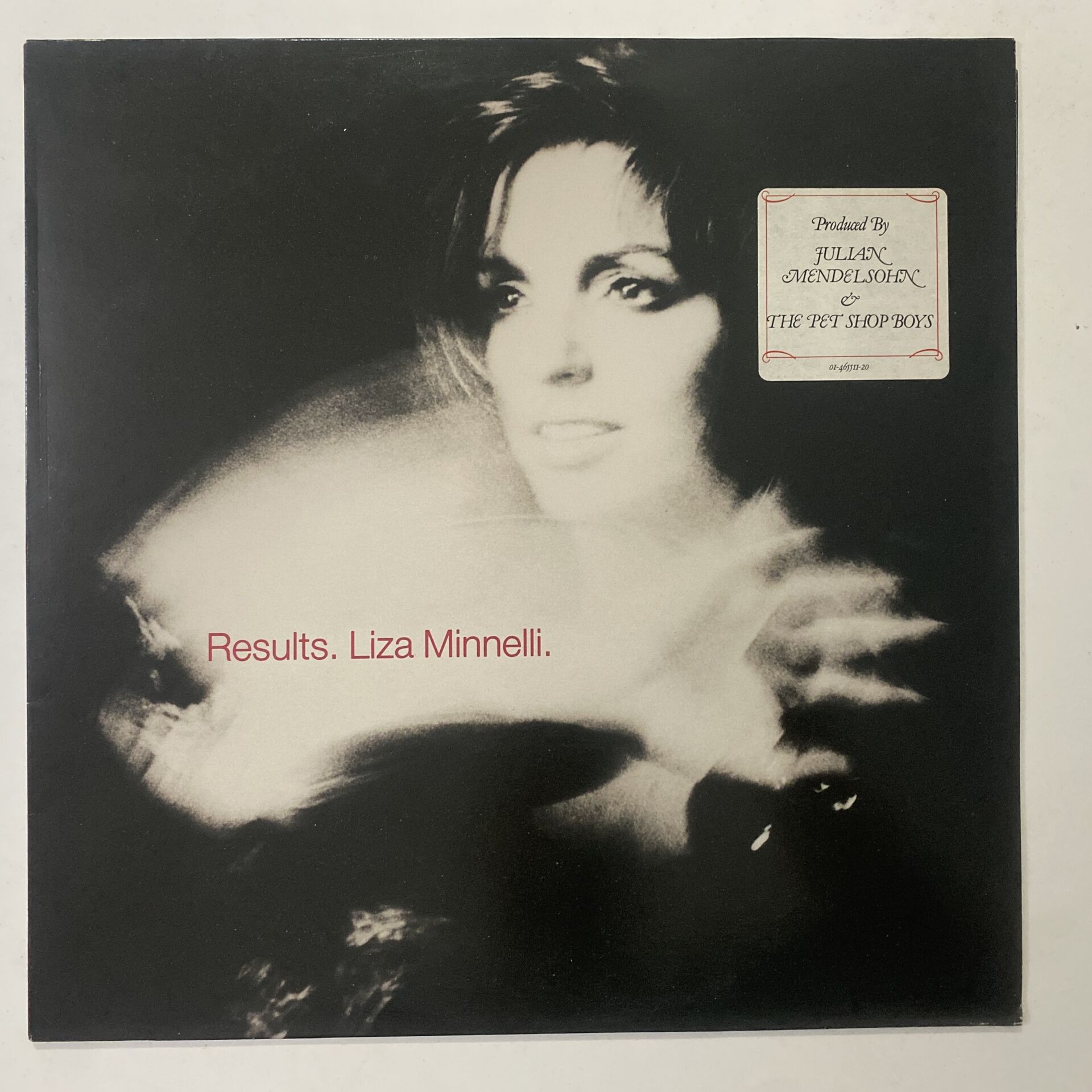 Liza Minnelli – Results