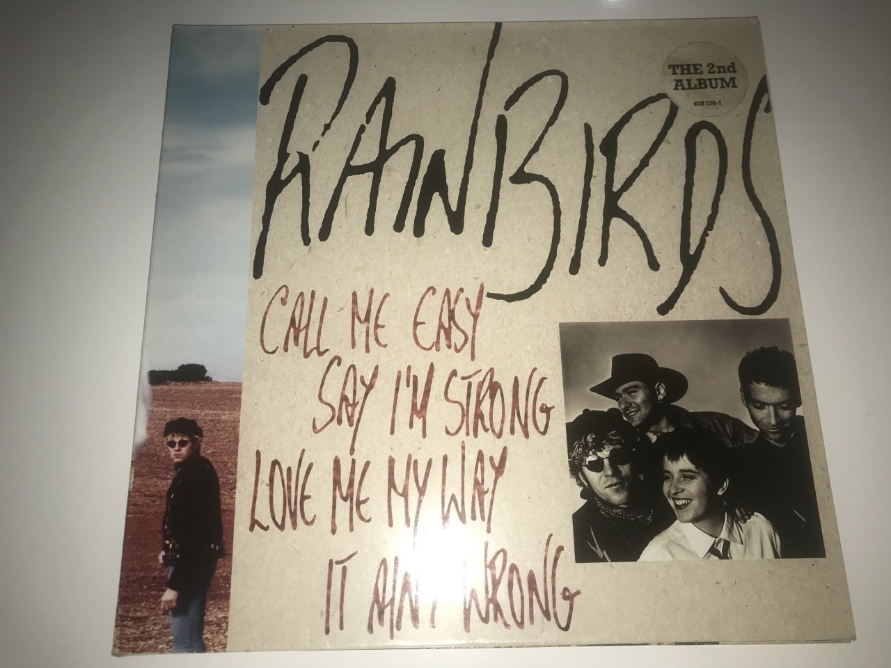 Rainbirds ‎– Call Me Easy Say I'm Strong Love Me My Way It Ain't Wrong
