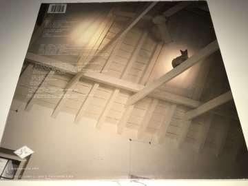 Judie Tzuke ‎– The Cat Is Out