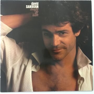 David Sanborn – Straight To The Heart