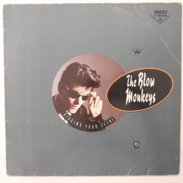 The Blow Monkeys ‎– Digging Your Scene