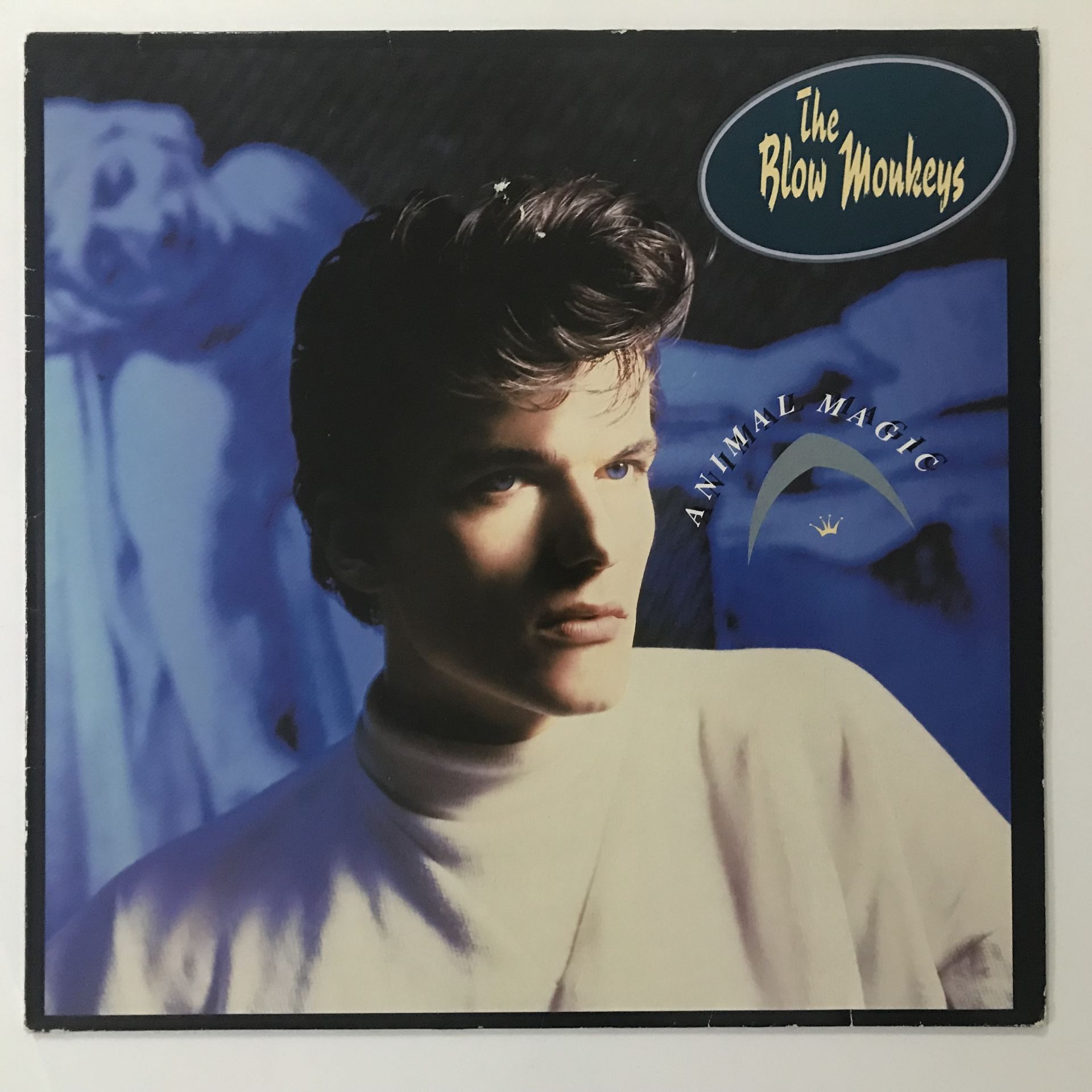 The Blow Monkeys ‎– Animal Magic