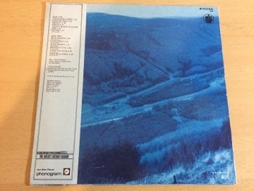 Blue ‎– Fool's Party
