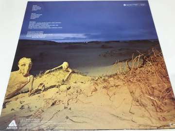 Dixie Dregs ‎– Dregs Of The Earth