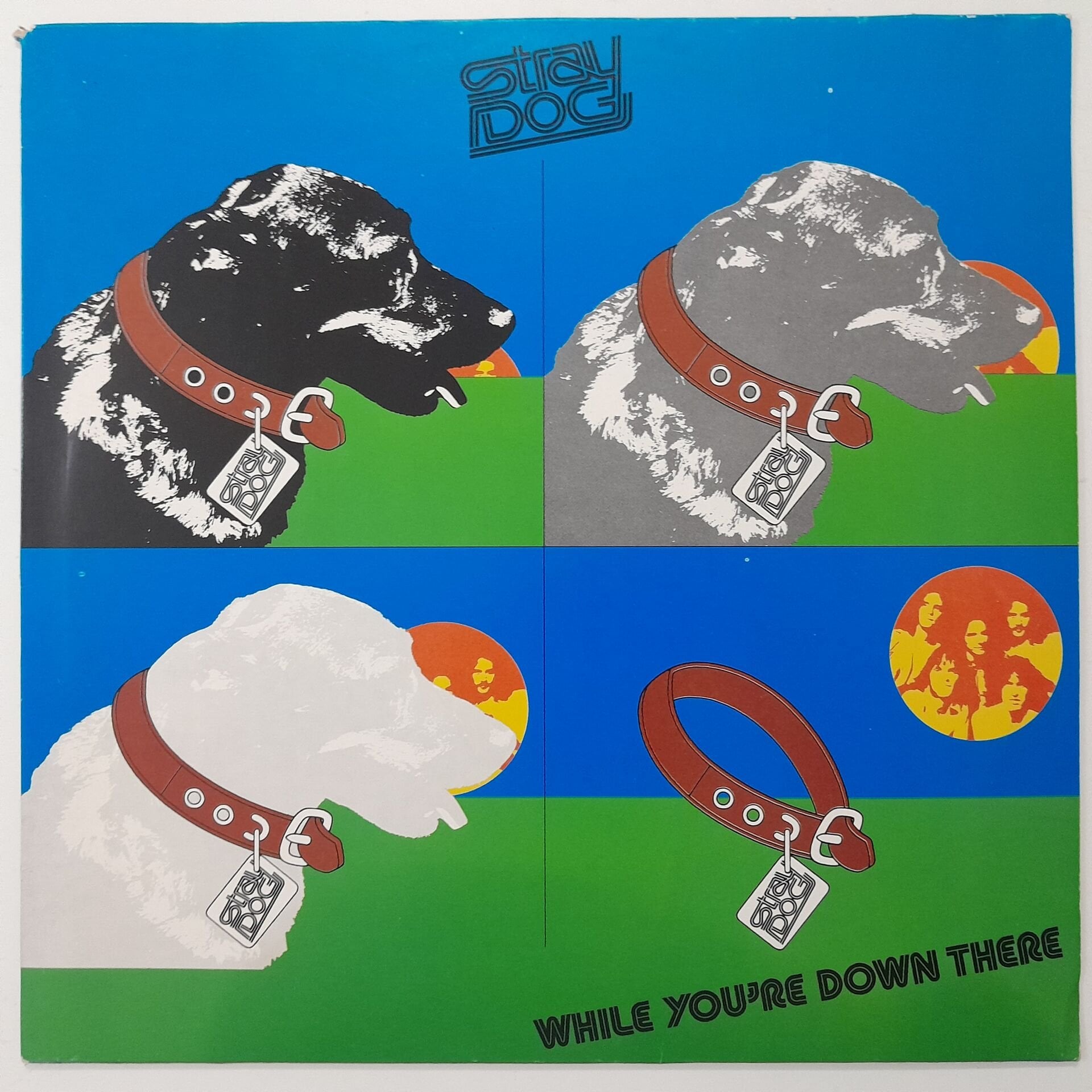 Stray Dog – While You're Down There