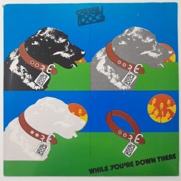 Stray Dog – While You're Down There