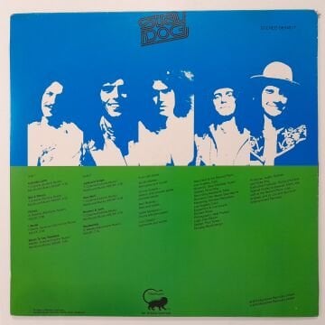 Stray Dog – While You're Down There