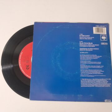 Alison Moyet ‎– Is This Love?