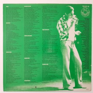 Al Jarreau ‎– We Got By