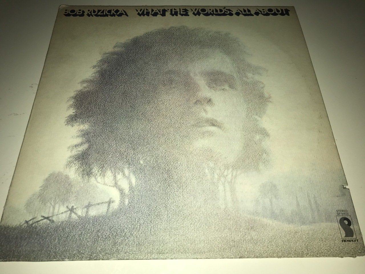 Bob Ruzicka ‎– What The World's All About