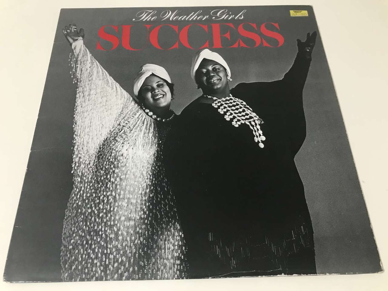 The Weather Girls – Success