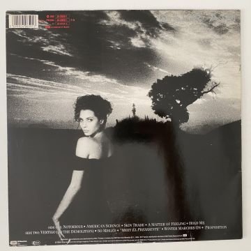 Duran Duran ‎– Notorious