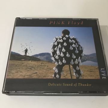Pink Floyd ‎– Delicate Sound Of Thunder 2 CD