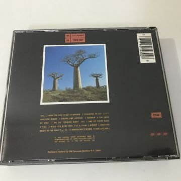Pink Floyd ‎– Delicate Sound Of Thunder 2 CD