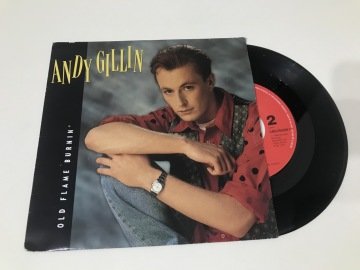 Andy Gillin ‎– Old Flame Burnin'
