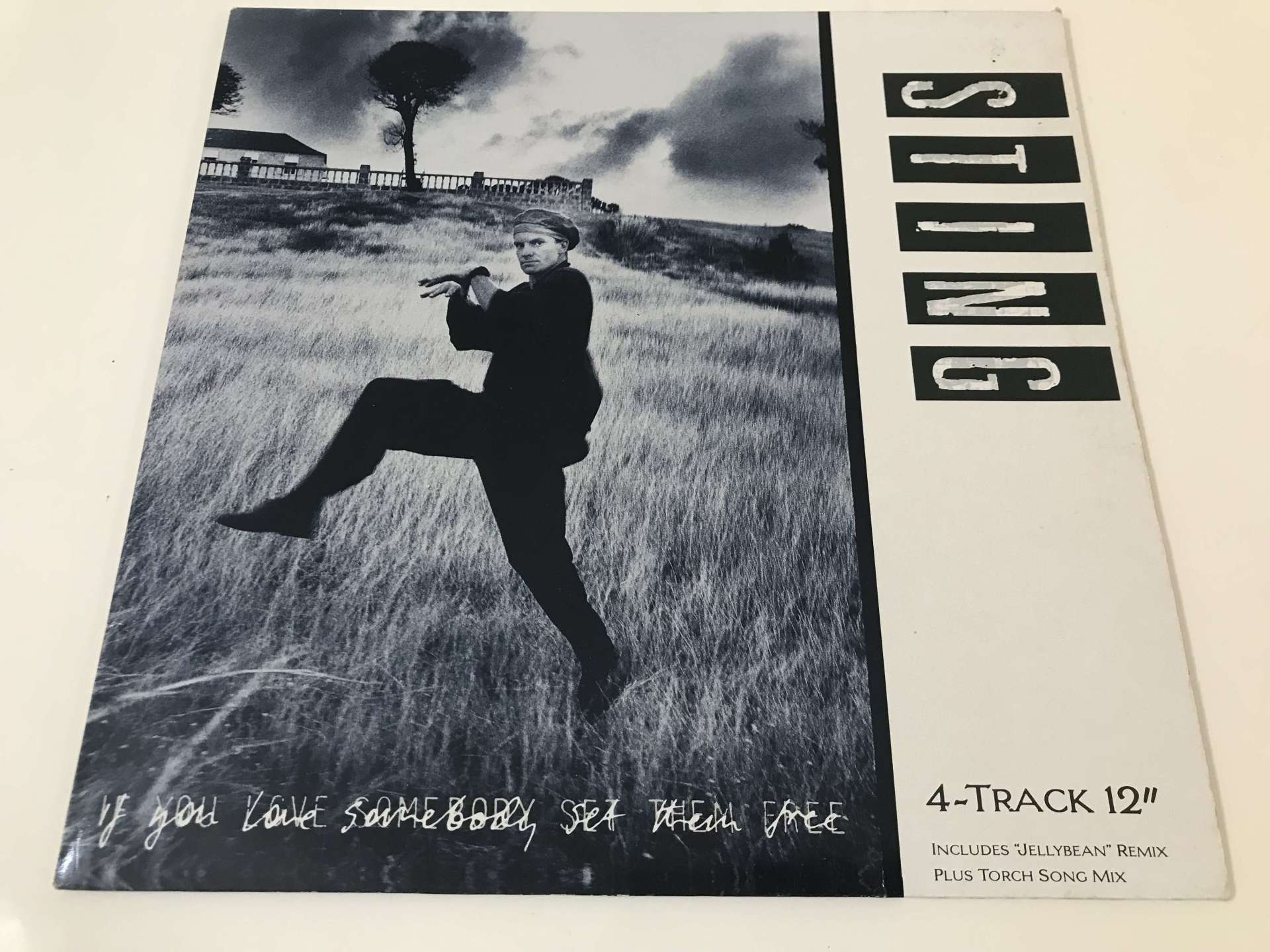 Sting ‎– If You Love Somebody Set Them Free