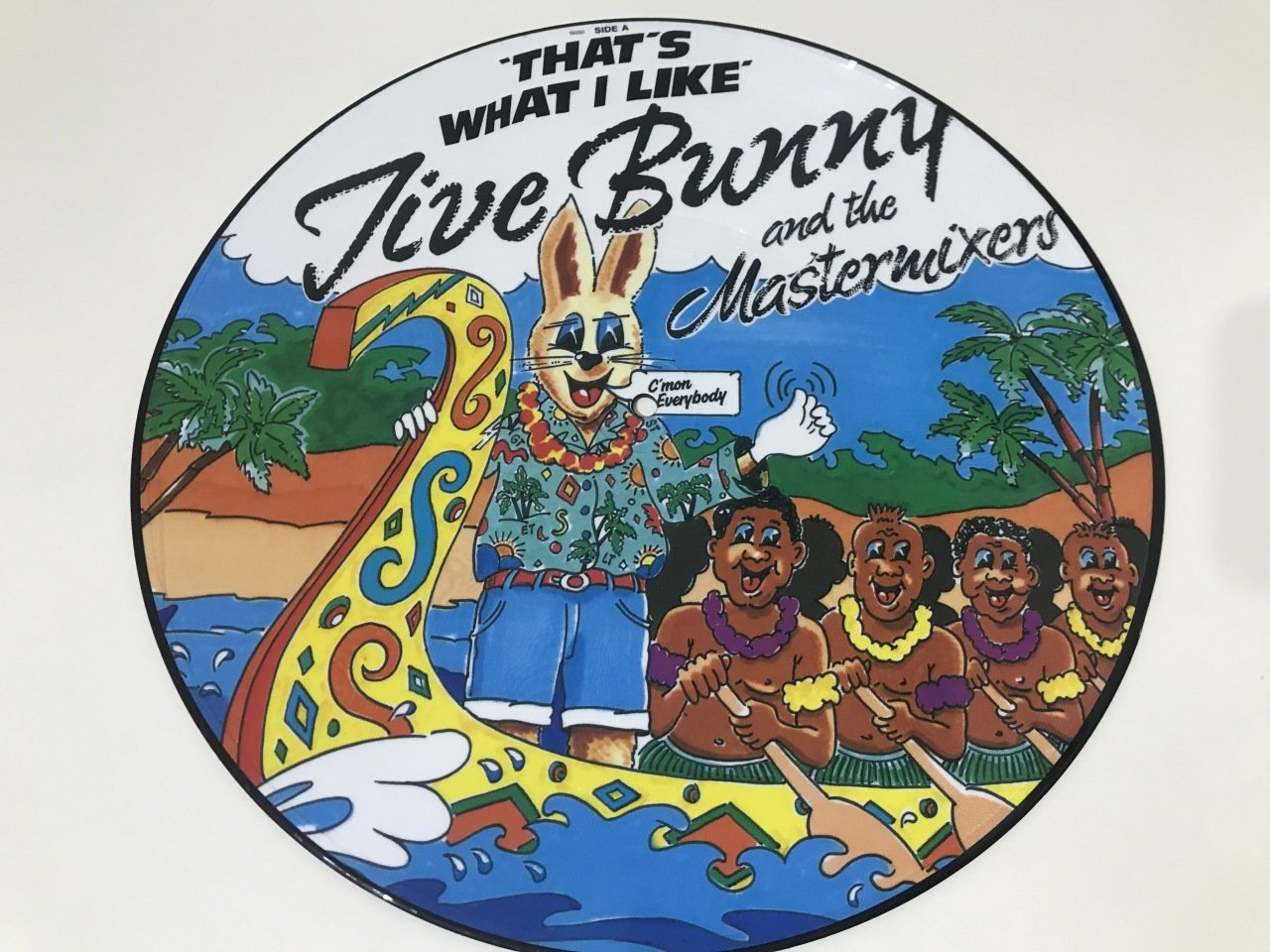 Jive Bunny And The Mastermixers ‎– That's What I Like (Resimli Plak)