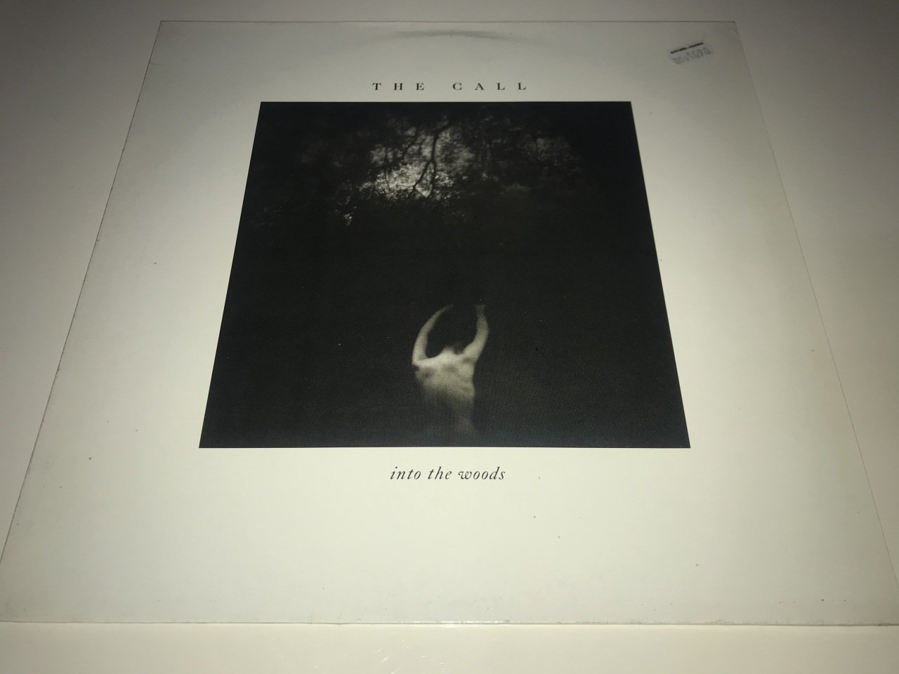 The Call ‎– Into The Woods