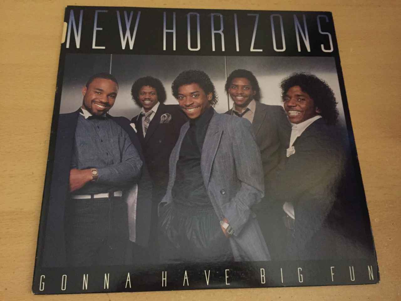 New Horizons ‎– Gonna Have Big Fun