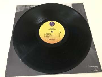 Ramones – Brain Drain (Kapaksız)