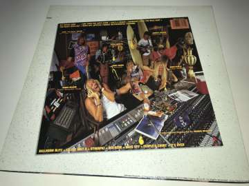 Surf Punks ‎– Oh No! Not Them Again!