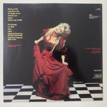Stevie Nicks ‎– The Other Side Of The Mirror