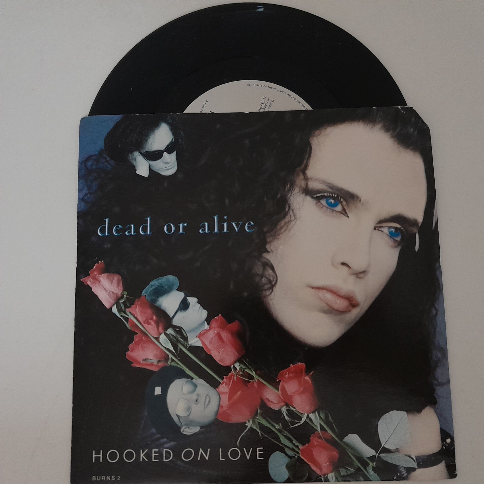 Dead Or Alive – Hooked On Love
