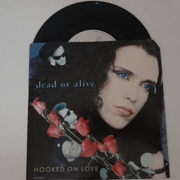 Dead Or Alive – Hooked On Love