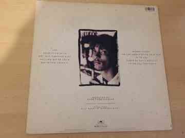 Ivan Neville ‎– If My Ancestors Could See Me Now