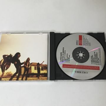 Love/Hate – Wasted In America