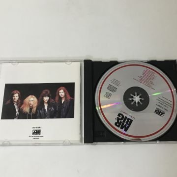 Mr. Big ‎– Lean Into It