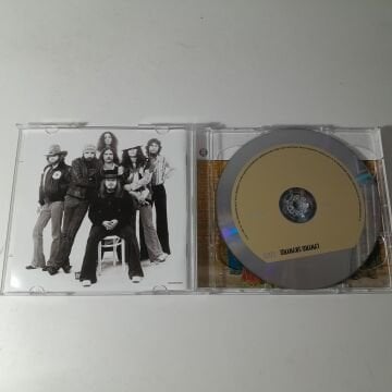 Lynyrd Skynyrd – Gold