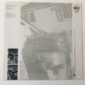 Sting ‎– The Dream Of The Blue Turtles