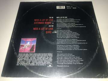 Magnum ‎– Need A Lot Of Love